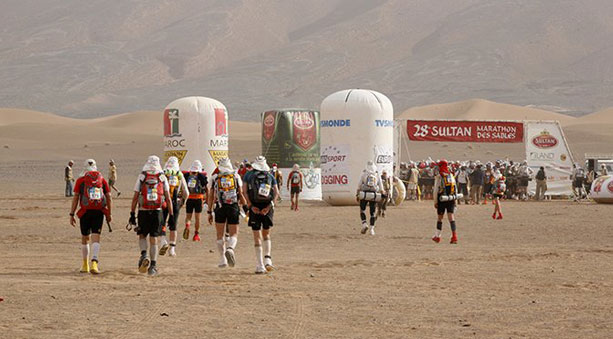 MDS 2013